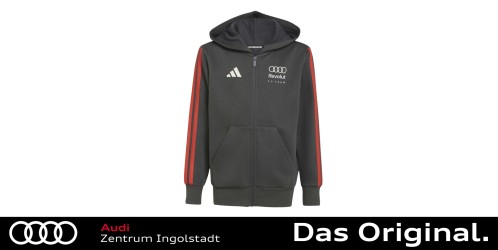 Original Audi Formula One Fan Full Zip Hoodie, Jüngling, 164  3202600204