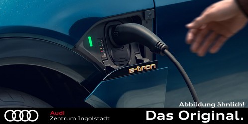 Orig VW Audi Ladekabel Autoladekabel 220V 30A Stark Strom